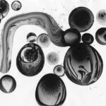 A black and white photograph of a group of black and white bubbles.